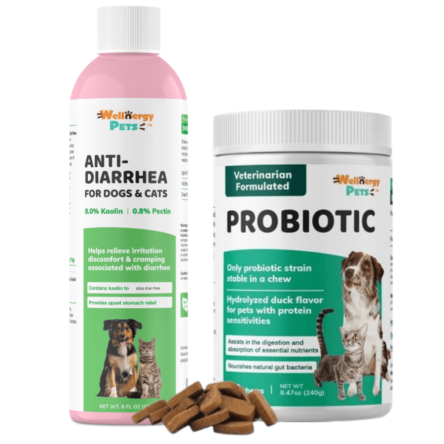 Essential pet anti diarrhea best sale